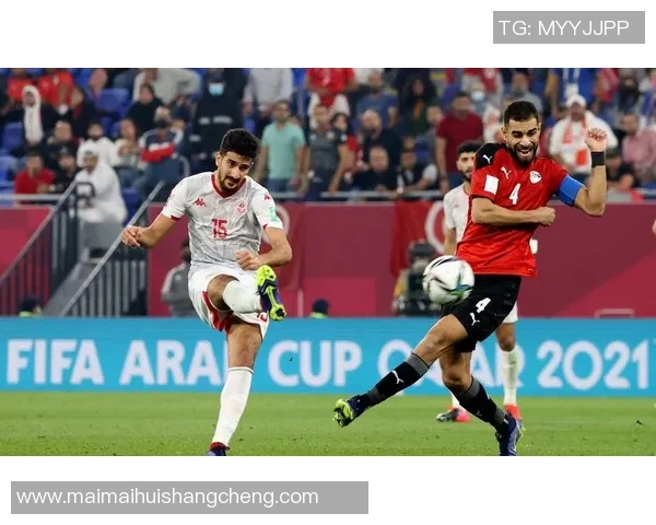 阿尔及利亚与尼日利亚精彩对决直播全程回顾与分析