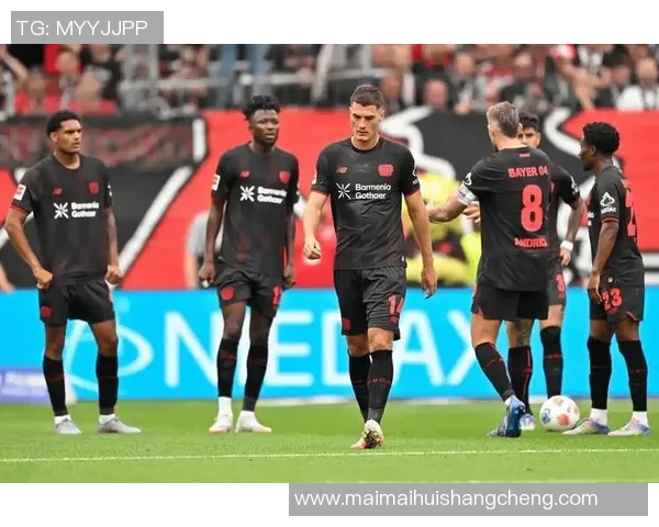 霍芬海姆主场迎战红星球队期待激烈对决展现实力与战术较量